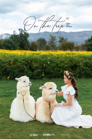 11.2潘磊 王琴（大理）