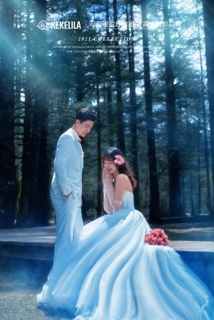 丽江云杉坪森系