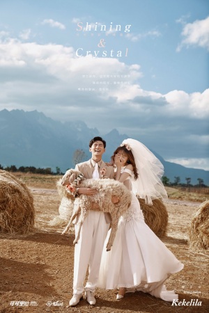 玫瑰庄园小玉龙