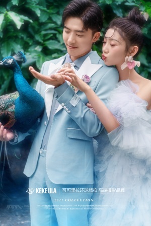 孔雀园（傣族园）