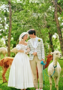 蜈支洲(阳光森林)