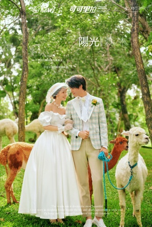 蜈支洲(阳光森林)