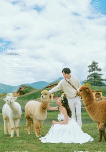 听花谷(霍比特家园)